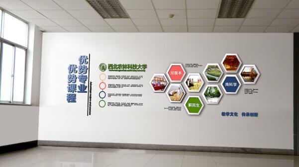 一般企業(yè)文化墻的尺寸是多大?(圖3) 大學(xué)教學(xué)企業(yè)文化墻設(shè)計(jì)